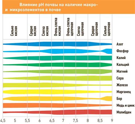 Анализ почвы для цветения растений