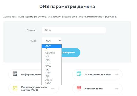 Анализ результатов проверки DNS