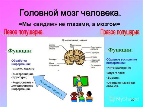 Анализ сигналов глазами и мозгом