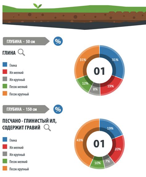 Анализ состава почвы на участке