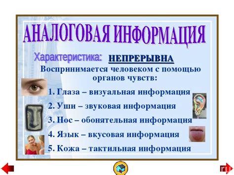 Аналоговая или цифровая трансляция ТНТ