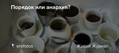 Анархия vs. порядок: конфликт или симбиоз?