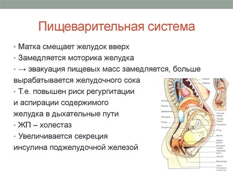 Анатомические изменения в организме при паникке