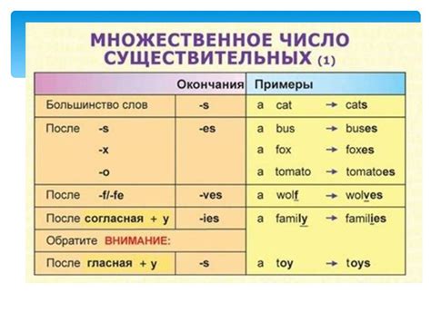 Английское множественное число в сравнении с другими языками