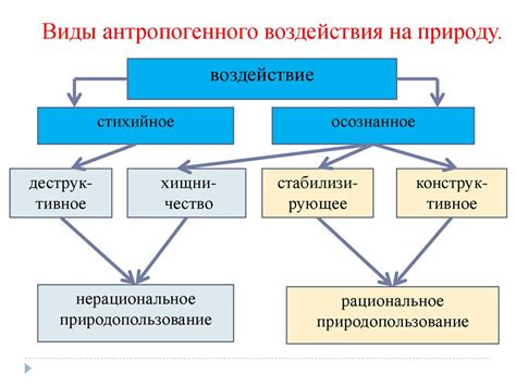 Антропогенное воздействие