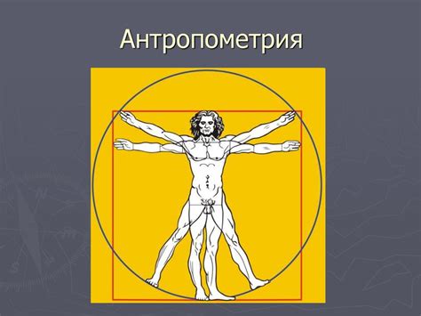 Антропометрия: определение физических параметров