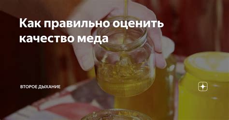 Аромат меда: как его оценить и что он может сказать