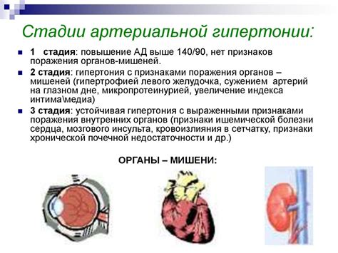 Артериальная гипертензия и стук в ухе