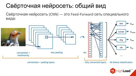 Архитектура сверточной нейросети