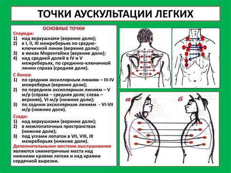 Аускультация легких