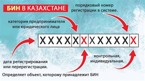 БИН код в Казахстане: основы