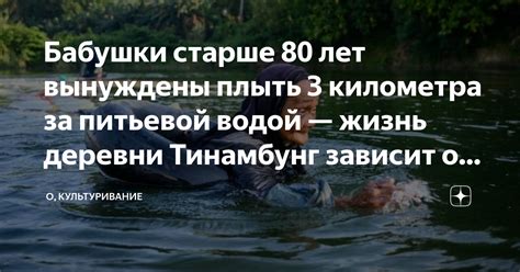 Бабушки старше 80 лет