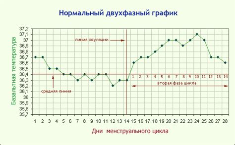 Базальная температура в организме женщины