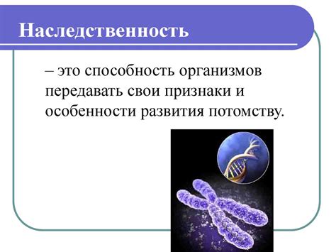 Базовые понятия генетики человека