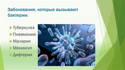 Бактериальные процессы внутри рта