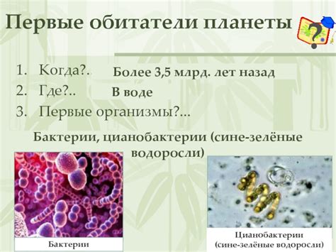 Бактерии: первые обитатели планеты