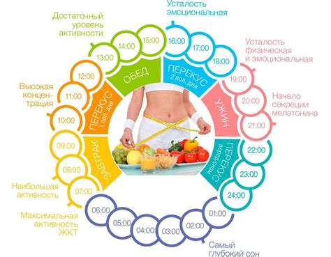 Балансировка питания и правильное питание