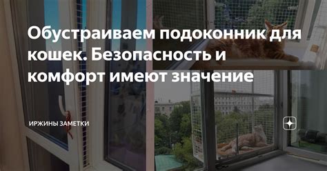 Безопасность и комфорт путешествия для кошек