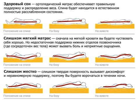 Безопасные положения для сна в нетрезвом состоянии