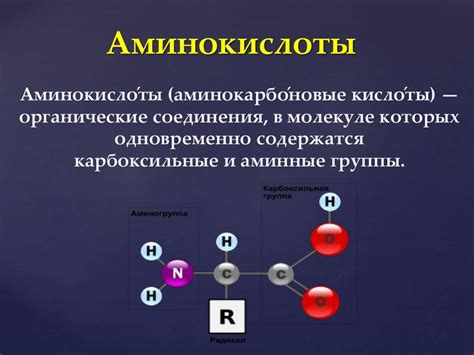 Белки и аминокислоты в грибном супе