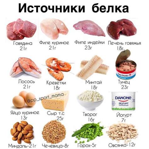 Белок и нежирные мясные продукты