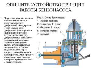 Бензонасос: общая информация и назначение