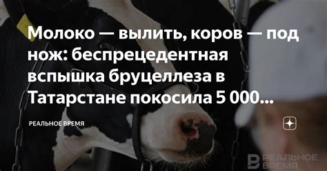 Беспрецедентная возможность экономить время