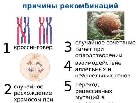 Биоинформатические методы в диагностике мутаций генов