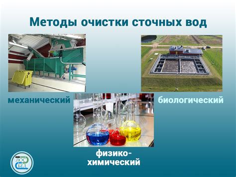 Биологическая очистка ТНТ: растения и микроорганизмы в роли эффективных очистителей