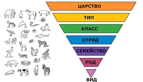 Биологическая природа животных