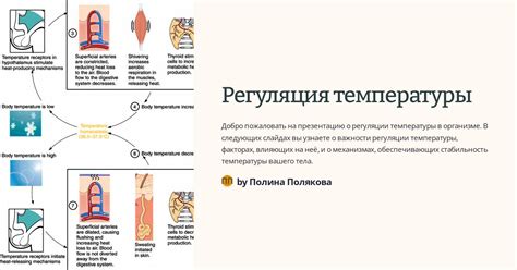 Биологическая регуляция температуры