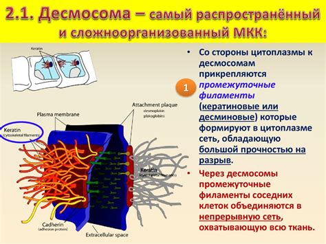 Биологические интеракции и взаимодействия