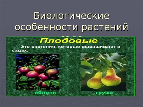 Биологические особенности, предопределяющие выбор саламандером влажной среды