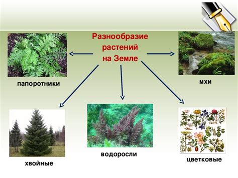 Биологические особенности кенара