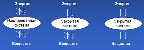 Биологические системы: открытые или закрытые?