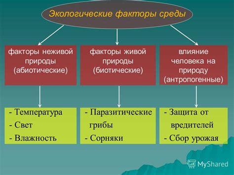 Биологические факторы, вызывающие слёзы на отцовском склепе