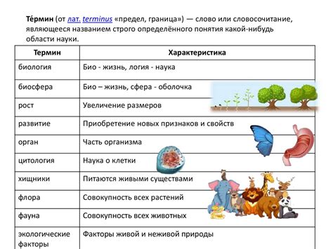 Биологические функции и источники