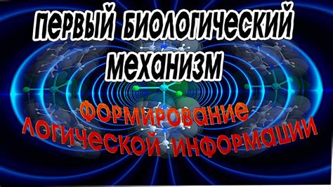 Биологический механизм спячки