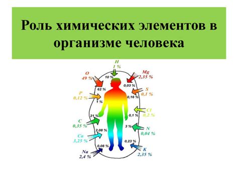 Биологически активные аминокислотные комплексы: роль в организме