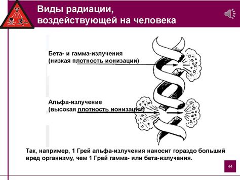 Биологическое воздействие на песочные образования