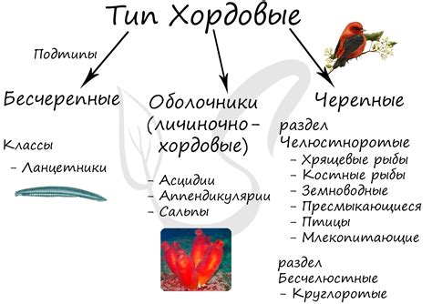 Биологическое объяснение горчи