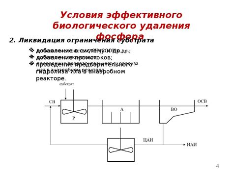 Биологическое удаление лигнина