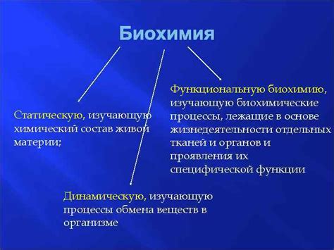 Биохимические процессы, лежащие в основе действия нобилиса