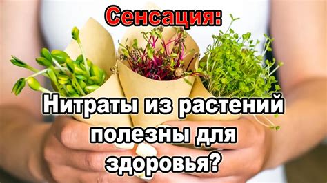 Богата питательными веществами