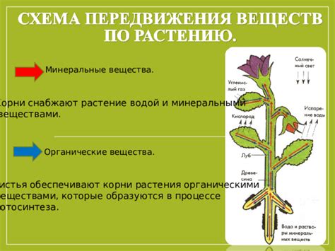 Богатство минеральными веществами