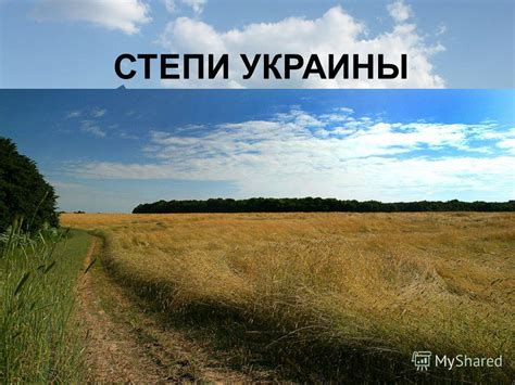 Богатство природных ресурсов великой степи