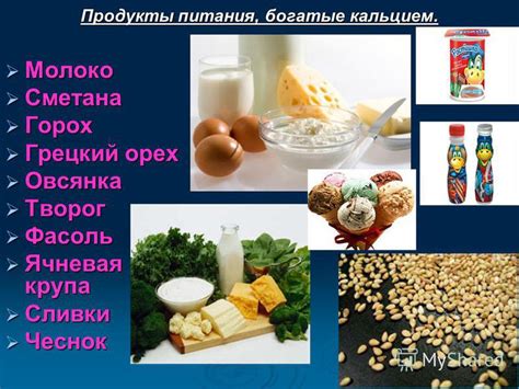 Богатые кальцием продукты питания