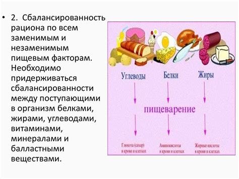 Богатый набор витаминов