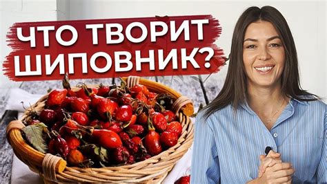 Богат источником витамина С