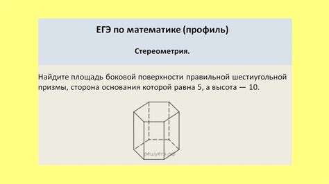 Большая площадь поверхности